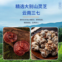 雷允上三七灵芝葛根片辅助保护化学性肝损伤外包 36g((0.6X60片)