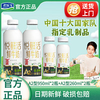 百亿补贴：君乐宝 悦鲜活鲜牛奶高钙孕妇儿童早餐奶A2型950ml*2瓶+2型260ml*2