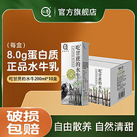 认养 4.0g蛋白质 吃甘蔗的水牛 纯牛奶