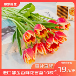 京东鲜花 郁金香鲜花盲盒 10枝