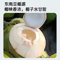 李墨白100%椰子水大瓶饮料无菌冷灌瓶装 900mL*2瓶