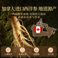 贡苑【秋冬升级款】黄芪西洋参灵芝党参组合150g 元气四六宝茶补养身