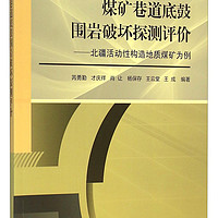 煤矿巷道底鼓围岩破坏探测评价：北疆活动性构造地质煤矿为例