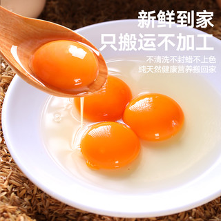 鲜鸡蛋虫草蛋新鲜土鸡蛋农家散养早餐溏心鸡蛋