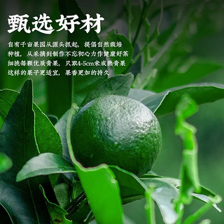 七春 陈皮橘皮乌龙茶包小罐装茶叶自己喝冷泡茶冷萃无糖袋泡茶300g 【清新橘皮】橘皮乌龙300g