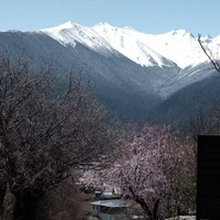 高颜值代表！看日照金山/怒江！周末不加价！即下山云南4店1-2晚套餐（含早+迷你吧+咖啡等）