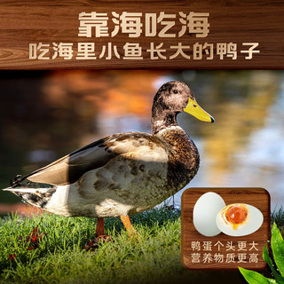 渔大叔 东北湿地咸鸭蛋红心流油特产红海滩湿地海鸭蛋65g*20枚礼盒