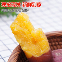 京鲜生 天目山小香薯 5斤  约50g单果 红薯 地瓜 新鲜蔬菜 源头直发 5斤 小果