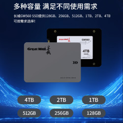 长城 256GB SSD固态硬盘 SATA3.0接口 GW560系列