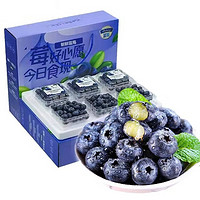 皇蔻 蓝莓 特大果 新鲜 125g*4盒 单果18mm+