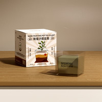 敦煌博物館 Dunhuang Museum 敦煌博物馆 沙画植物 DIY手工道具 盒装 9*9*9cm A款