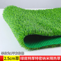 乐子君 仿真草坪地毯 2.5cm网格春草特厚特密 绿色
