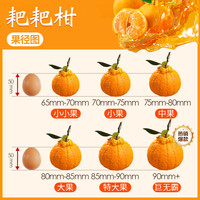 汇挑 正宗四川春见耙耙柑水果新鲜当季9斤橘子产地现摘丑柑桔整箱包邮