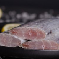 今锦上国产带鱼段新鲜冷冻刀鱼海鲜水产净重5.2斤(1.3kg*2袋)