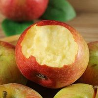 华北强正宗陕西秦冠苹果精选好果粉面香甜刮泥当季新鲜水果批发整箱 【净重】