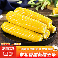 京东快递 东北黄糯玉米 220g*8袋