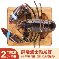 梦尝客 波士顿大龙虾 11斤/只