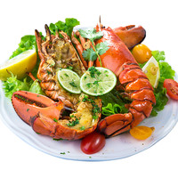 梦尝客【活鲜】波士顿龙虾大龙虾大波龙鲜活长辈父母家长同城闪送 6斤/只 大龙虾1只