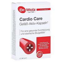 伍兹博士 Dr.Wolz 欧洲直邮德国可可黄烷醇100mg胶囊血管弹性血液循环心脑血管60粒