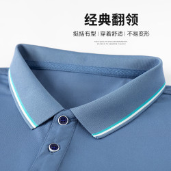 杉杉 短袖T恤男夏季休闲透气POLO衫翻领打底衫中年男士百搭上衣 白色 3XL /19