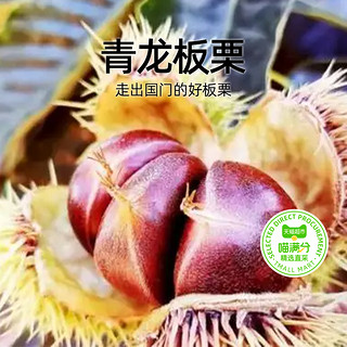 喵满分精选新鲜板栗1.25kg*1袋