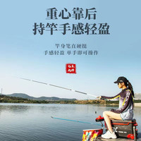 佐竹精工鱼竿钓鱼竿28调碳素鱼竿手竿套装超轻超硬湖库野钓综合青鲟大物 1.1m 收缩长，4H28调【超轻手感】 3.9米鱼竿+礼包+备用竿稍
