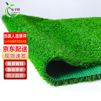 乐子君 仿真草坪 3cm升级春草 绿底纳米