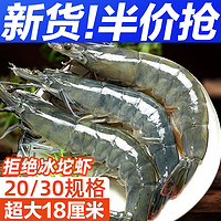 东上御品 气冻虾青岛大虾无冰新鲜特大号液氮气海虾基围虾一箱白虾