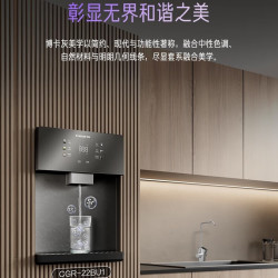 卡萨帝 Casarte CGR-22BU1 家用管线机 即热纤薄