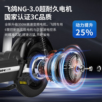 飞鸽 FG FLYING PIGEON电动车新国标电动自行车成人电单车电瓶车男女小型轻骑助力代步车 天空蓝【 终身售后】 【锂电】20A汽车级-助力续航95公里