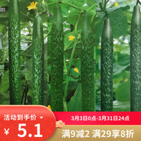 播种心情 四号黄瓜种子 黄瓜籽种 1包