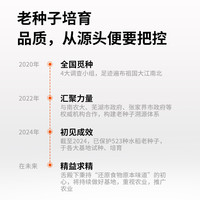 舌殿下有机胚芽米宝宝婴儿营养辅食煮粥米油大米2024年新米 有机胚芽米500g【充氮锁鲜】