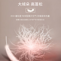 2＆MY 女士保暖内衣套装 ZH-3918