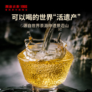 澜沧古茶云南普洱生茶 2022年001景迈山古树春茶生普洱茶明前头春饼茶 2022年001芳沱200g