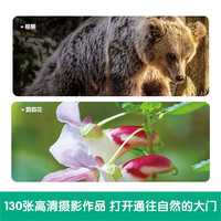 乐乐趣 露露的成长故事第一辑12册故事书 儿童绘本 情绪管理 成长绘本 睡前绘本 幼儿科普分级图册 自然科学 第3阶 (12册)