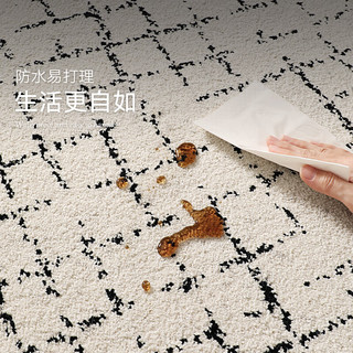 大江 抑菌防水抗污 Coco小姐 240x340cm 地毯