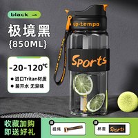 台尊 316不锈钢吸管保温杯男生士款大容量吸管杯吨桶吨便携运动水壶子L