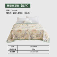 绿中缘 100桑蚕丝长丝填充80s全棉被套蚕丝被夏被空调被可水洗夏被