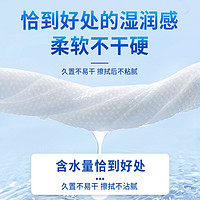 小许 迪创恩宠物湿巾80抽装猫咪狗狗清洁专用抑菌免洗澡护理泪痕湿纸巾