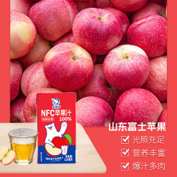 北冰洋 100%NFC苹果汁 125mlx4盒