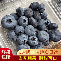 陇百味 云南蓝莓 新鲜现摘高山当季应季时令水果 精品果王8盒