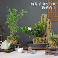 开时果 新中式盆栽创意桌面绿植盆景 假山景观桌面植物摆件源头直发 菖蒲+塑料底座 火山岩石盆