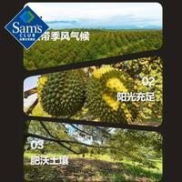 佳沃 冷冻金枕榴莲果肉 100g*8盒