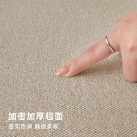 布迪思轻奢高级感防水防滑加厚地毯大尺寸满铺免洗可擦2024 木屯04