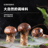 林小生松茸鲜调味料 0添加 代替盐鸡精味精家用炒菜炖汤 提鲜调味 松茸鲜调味料40g*1袋