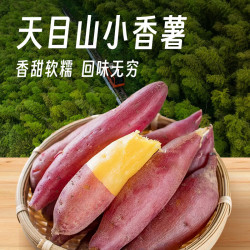 京鲜生 临安天目山小香薯 3斤 单果约50g 红薯地瓜番薯蜜薯 源头直发