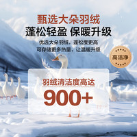  BLISS/百丽丝 抗菌 羽绒被  抗菌复合羽绒四季被 220cm×240cm