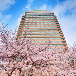 和赏樱配一脸，本身就是赏花点！武汉晴川假日酒店 豪华江景大床房2晚连住含双早套餐