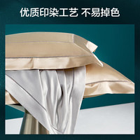 罗莱生活 LUOLAI 家纺21姆米真丝纯棉床上四件套100支贡缎 轻奢床单被套 220*250cm