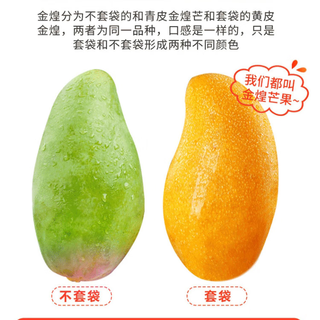 三亚芒果金煌芒 新鲜水果 整箱当季 大青热带芒果 水果 净重9斤 单果约200克+